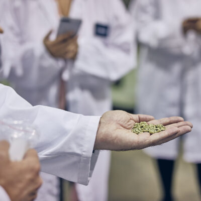 Roastery tour from crop to cup