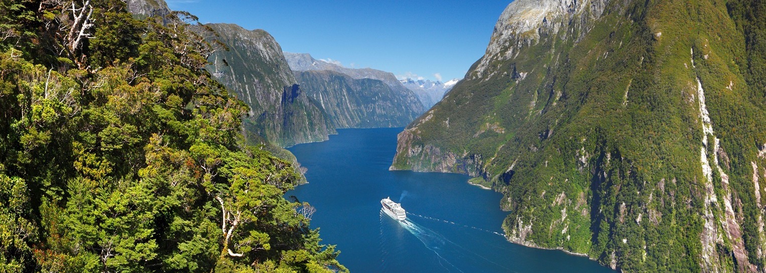Franchising in New Zealand – Why You Should Join The Hype