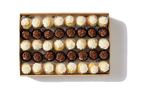 Mini assorted cupcakes – Choc & Vanilla